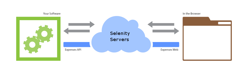 The API and web side by side